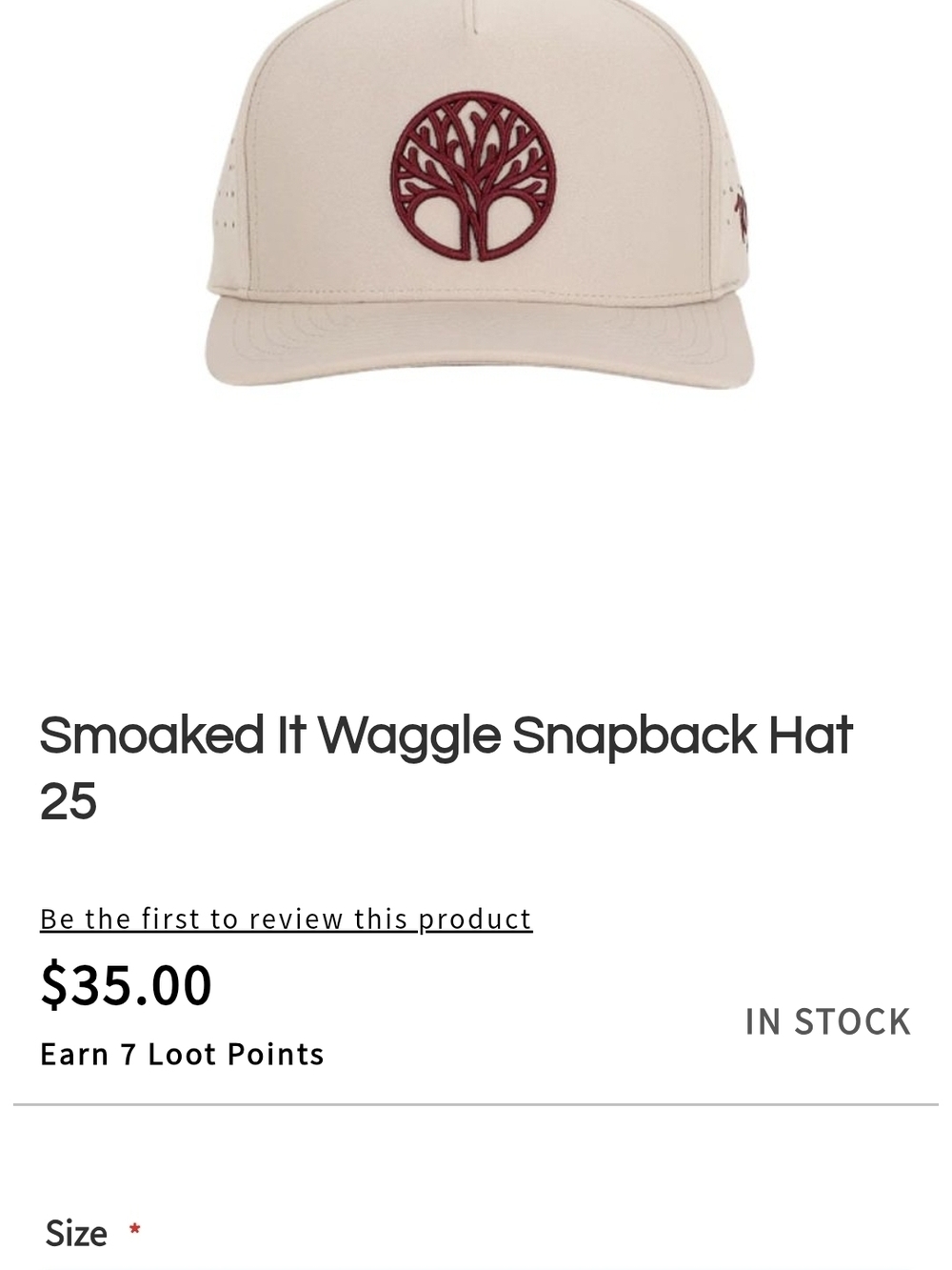 Waggle Hat - Smoked It - Picture 5 of 5